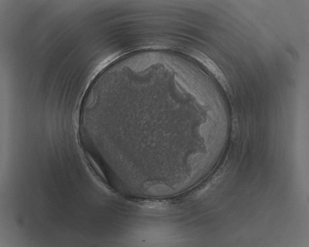 X0000116490850200912292104