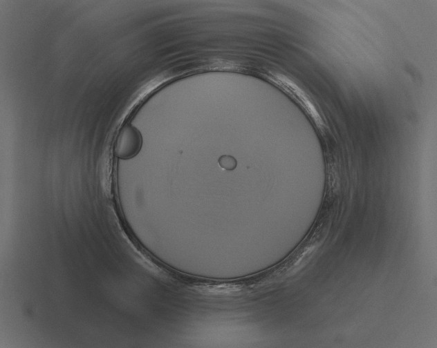 X0000116490851200912292104