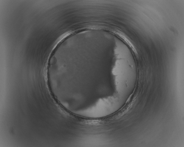 X0000116490853200912292104