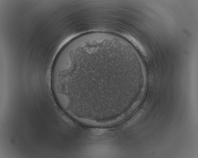 X0000116490854200912292104