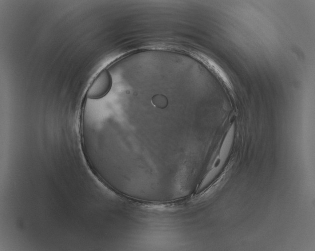 X0000116490855200912292104