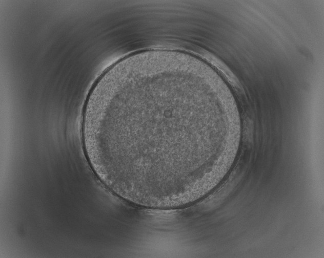 X0000116490856200912292104