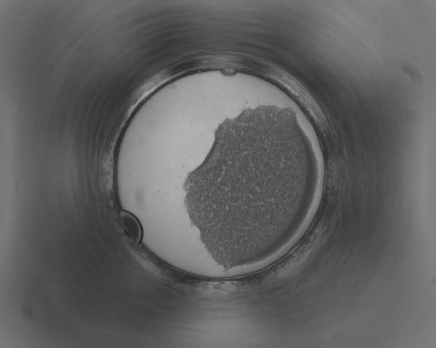 X0000116490858200912292104