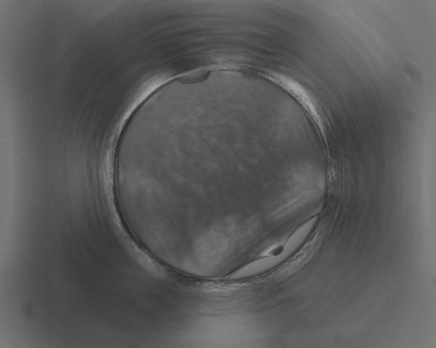 X0000116490859200912292104