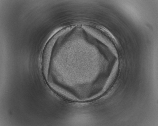 X0000116490860200912292104