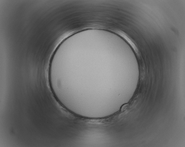 X0000116490861200912292104