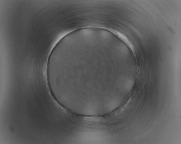 X0000116490863200912292104