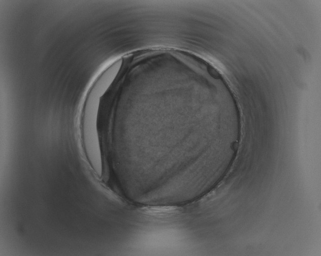 X0000116490864200912292104