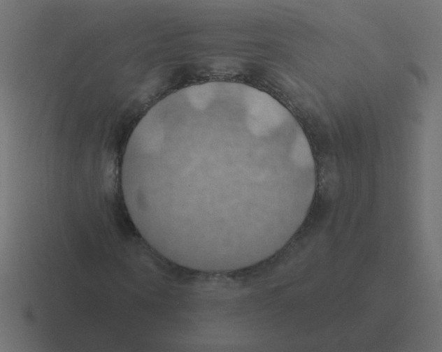 X0000116490866200912292103