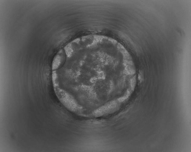 X0000116490867200912292103