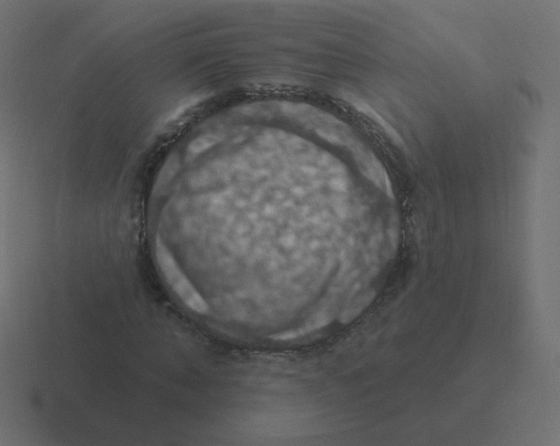 X0000116490870200912292103