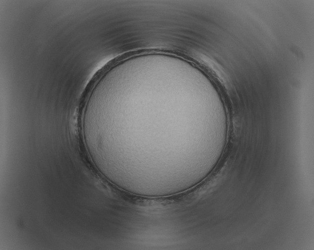 X0000116490875200912292103