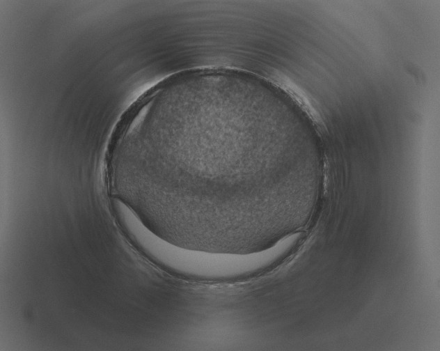 X0000116490876200912292103