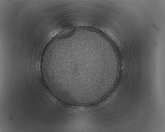 X0000116490881200912292103