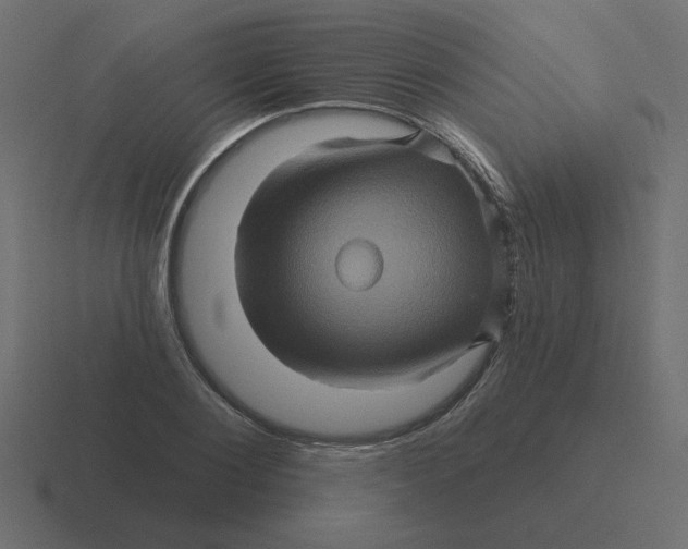 X0000116490884200912292103