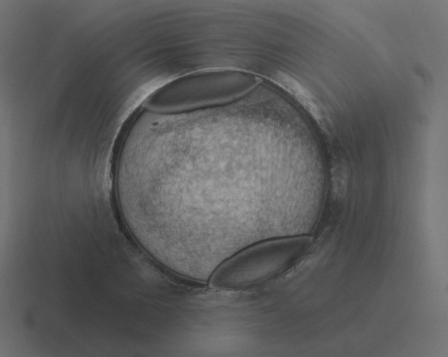 X0000116490885200912292103