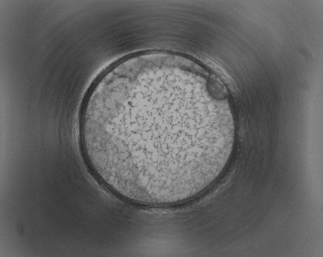 X0000116490888200912292103