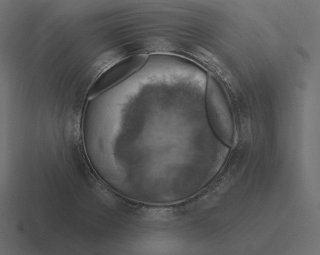 X0000116490889200912292103