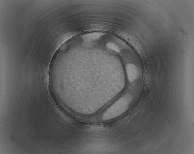 X0000116490890200912292103