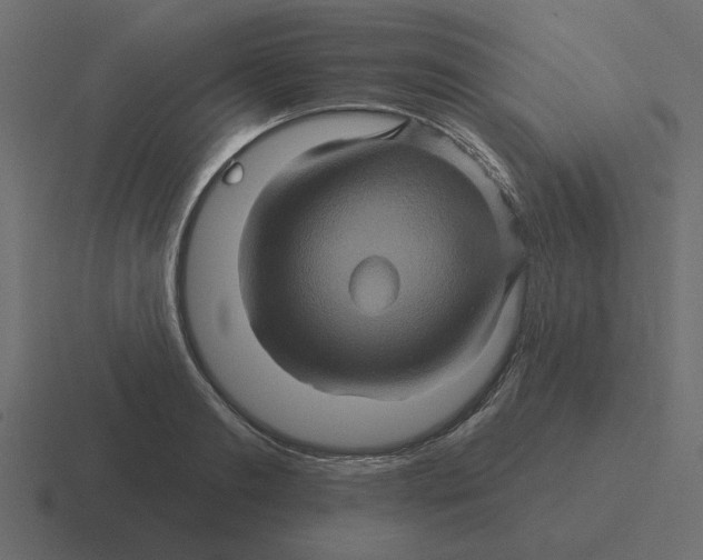 X0000116490893200912292103