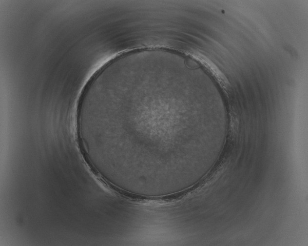 X0000116490894200912292103