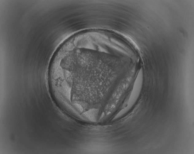 X0000116490895200912292103