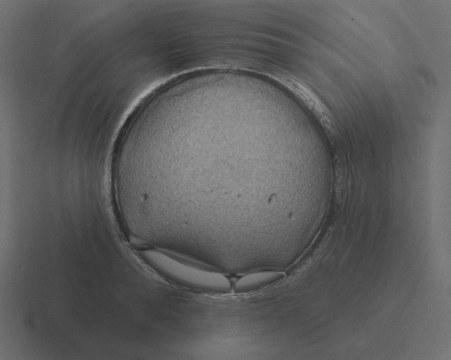 X0000116490896200912292103