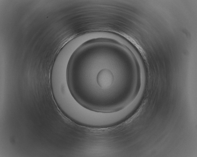 X0000116490897200912292103