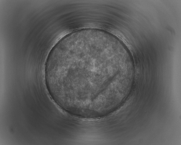 X0000116490898200912292103