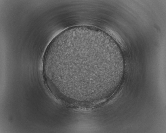 X0000116490900200912292103