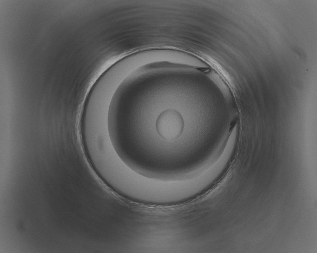 X0000116490901200912292103