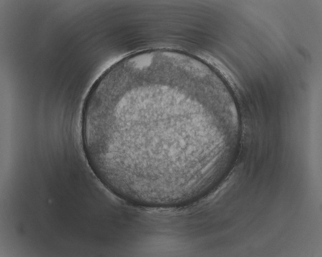 X0000116490902200912292103