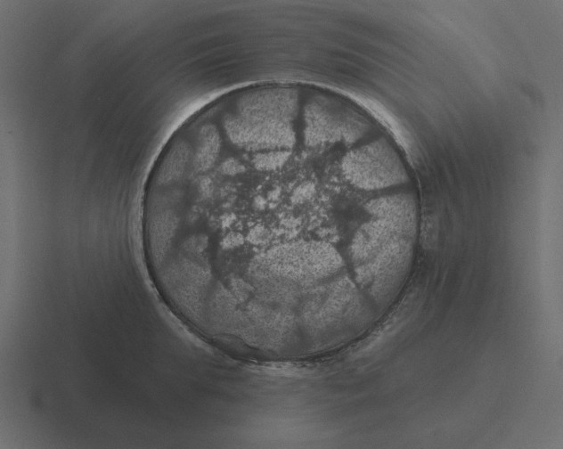 X0000116490903200912292103