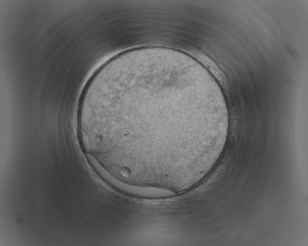 X0000116490904200912292103