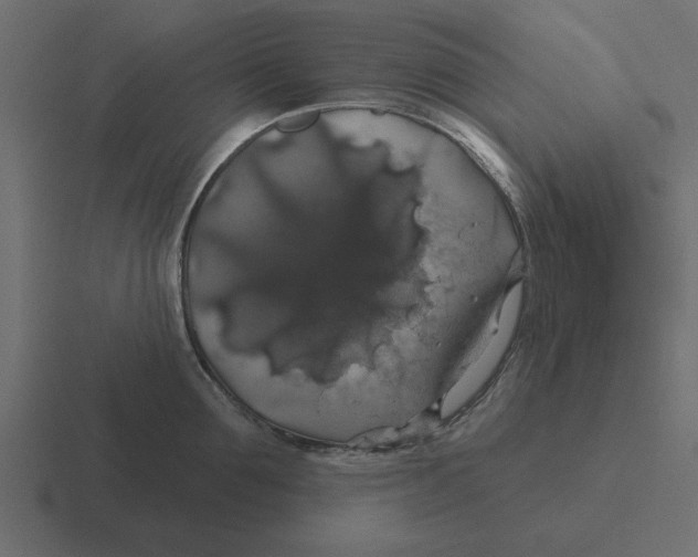 X0000116490907200912292103