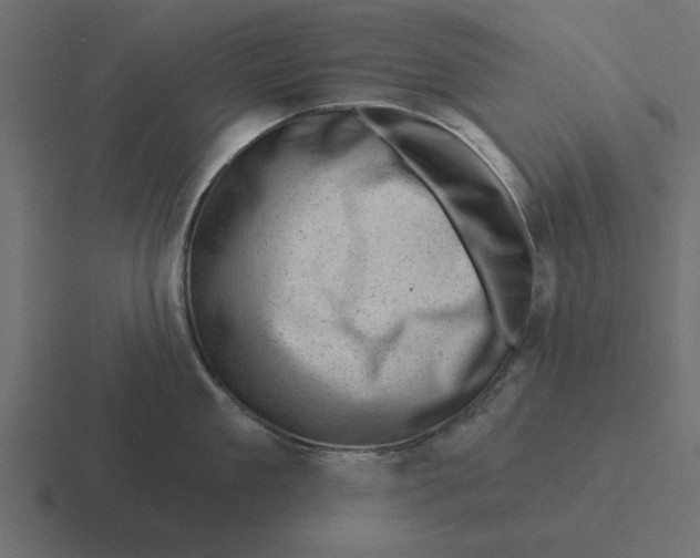 X0000116490909200912292103