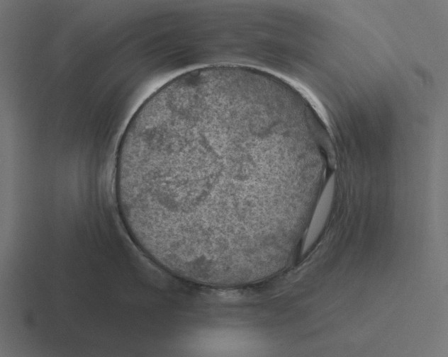 X0000116490911200912292103