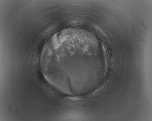 X0000116490917200912292102