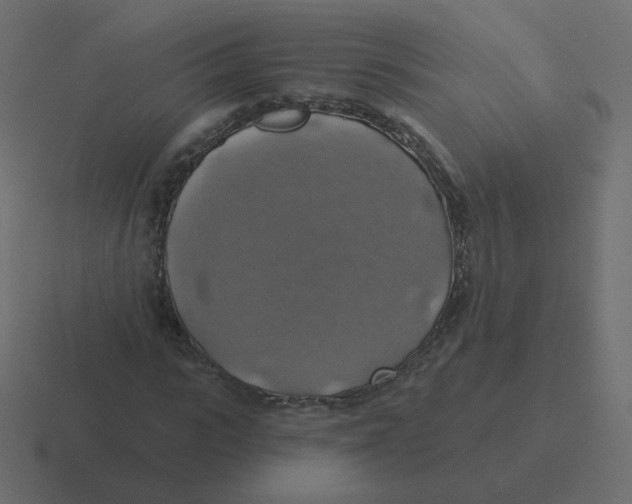 X0000116490919200912292102