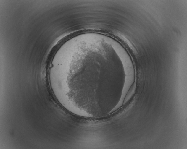 X0000116490923200912292102