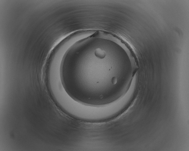 X0000116490925200912292102