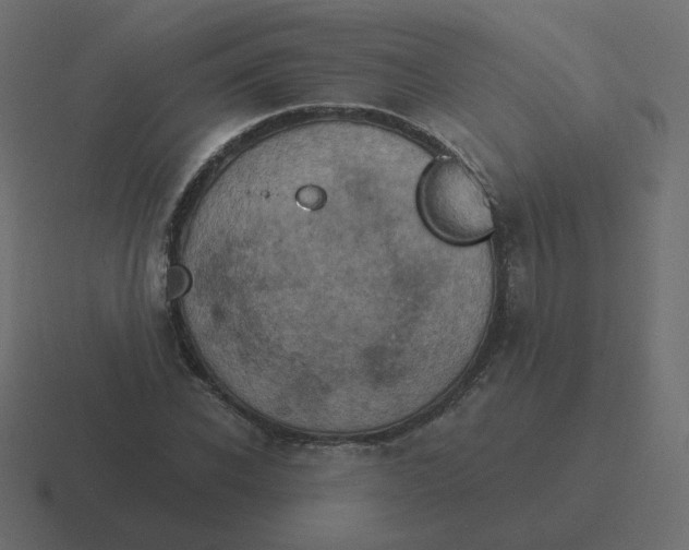 X0000116490926200912292102