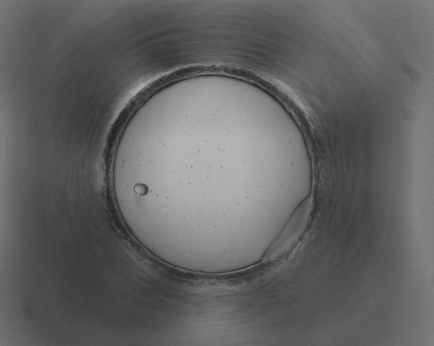 X0000116490927200912292102