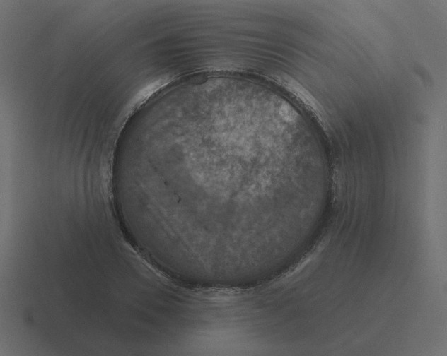 X0000116490930200912292102