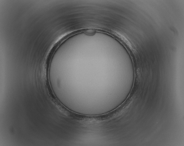 X0000116490931200912292102