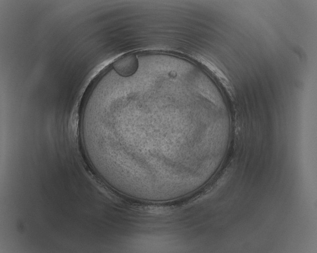 X0000116490933200912292102