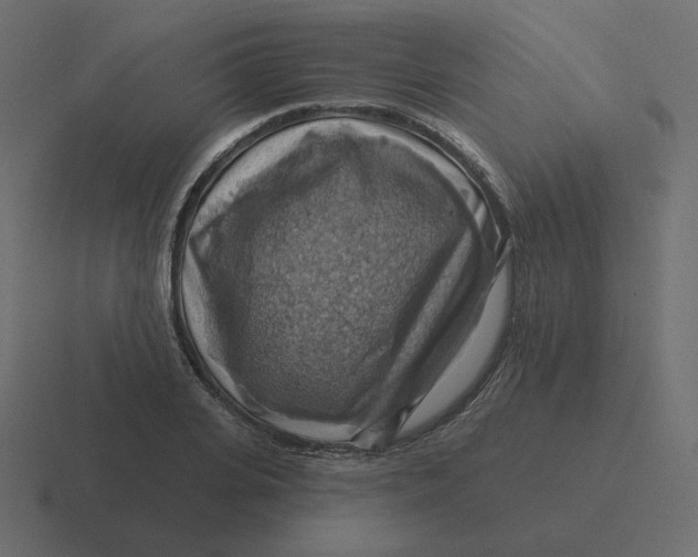 X0000116490935200912292102