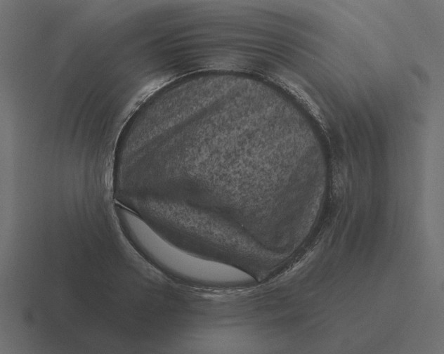 X0000116490938200912292103