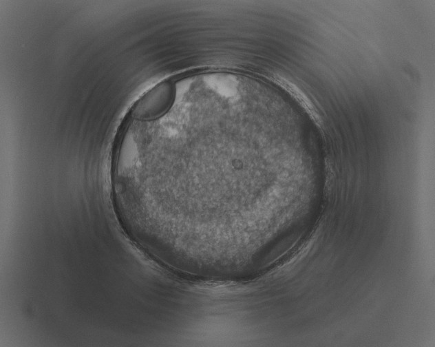 X0000116490939200912292103