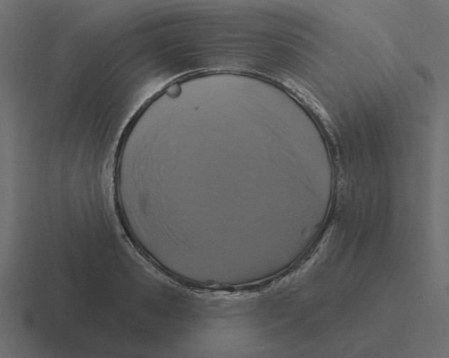 X0000116490941200912292103